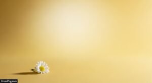 Aesthetic yellow background image