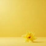 Aesthetic yellow background image