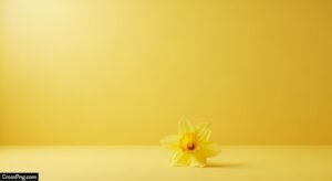 Aesthetic yellow background image