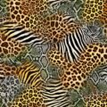 Animal print background