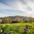 April background image