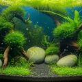 Aquarium background hd image