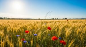 August background image 3