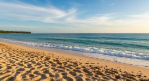 Background beach image 4
