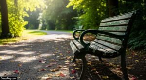 Background bench image