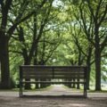 Background bench image