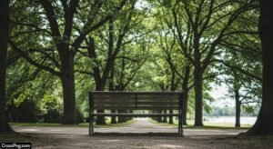 Background bench image 2