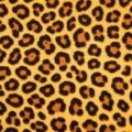 Background cheetah print