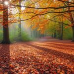 Background fall image