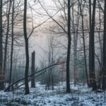 Background february image 2
