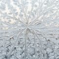 Background frozen wallpaper image