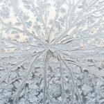 Background frozen wallpaper image