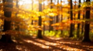 Background image 107