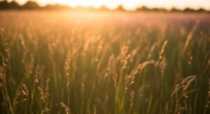 Background image 113