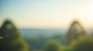 Background image 13