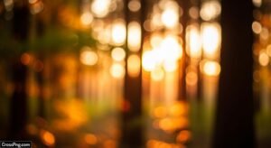 Background image 25
