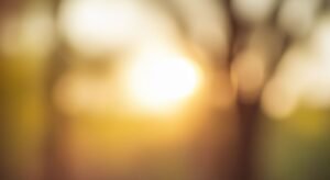 Background image 61