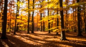Background image 70