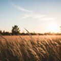Background images for baby