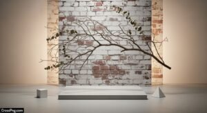 Background setup image