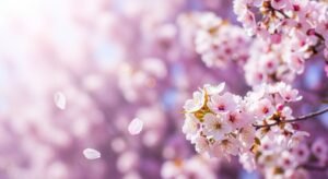 Background spring floral blossoms image 4