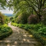 Background steps image