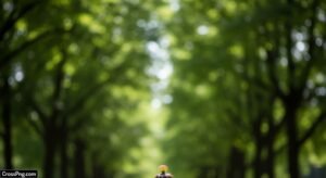 Background tree blur image 2