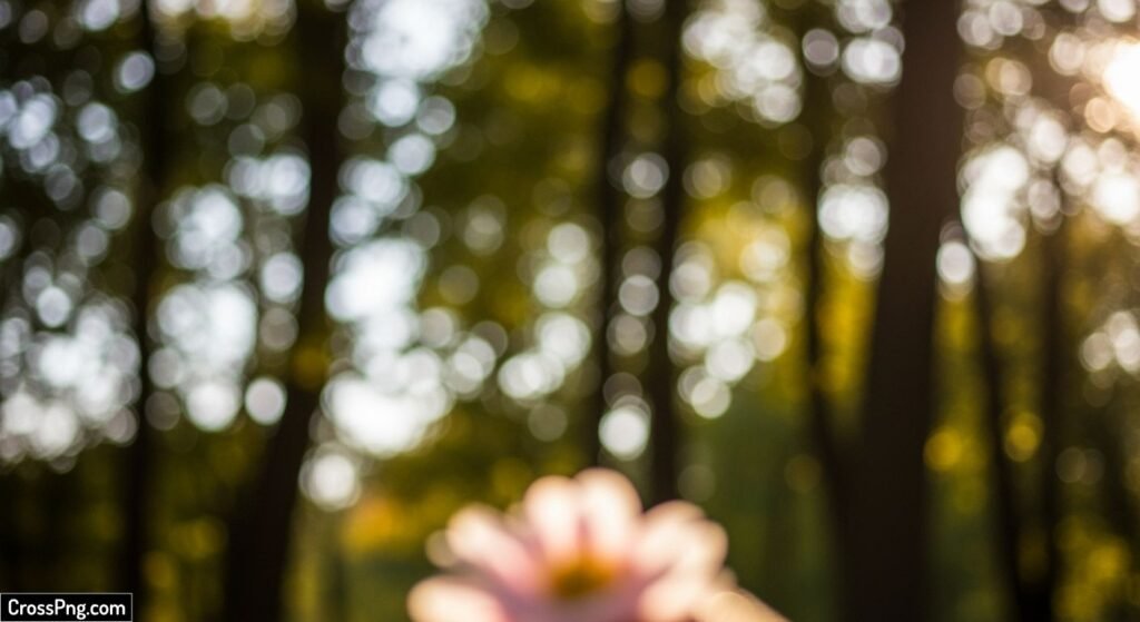 Background tree blur image 3