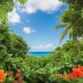 Background tropical image