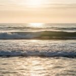 Background with waves image