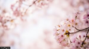Beauty background image 2