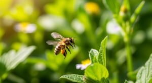 Bee background image