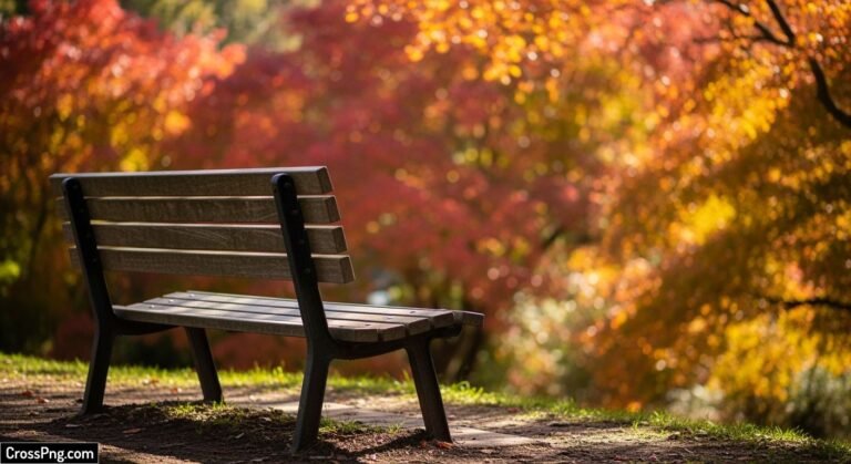 Bench background image 3