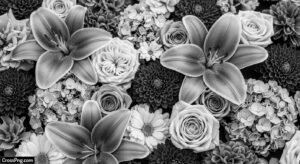 Black and white flower background image