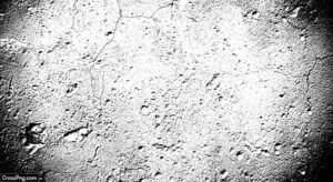 Black and white texture background image 3