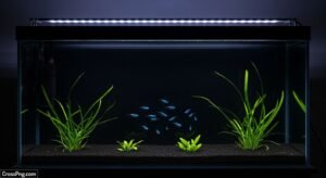 Black aquarium background image