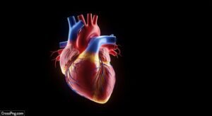 Black background heart image 3