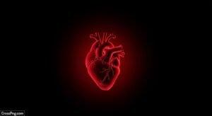Black background heart image
