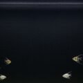 Black fish tank background