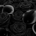 Black flower background image 3