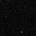 Black sparkle background image