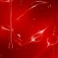 Blood background image