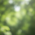 Blur nature green background image