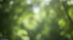 Blur nature green background image