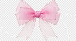 Bow transparent background image 2
