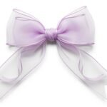 Bow transparent background image 3