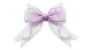 Bow transparent background image 3