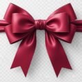 Bow transparent background