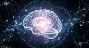 Brain background image