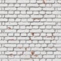 Brick white background image